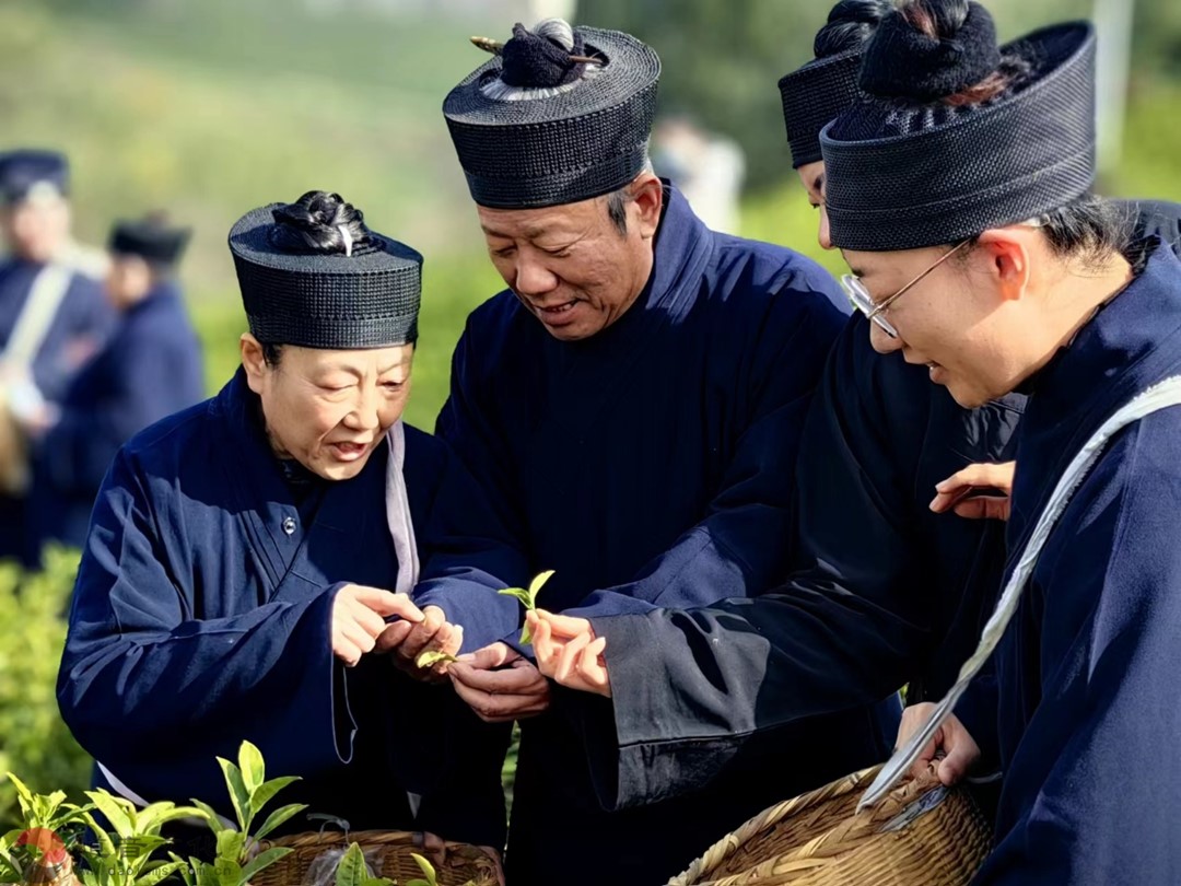 滁州市道协举办2023年滁州道教界人士中华优秀传统文化学习体验活动-道音文化