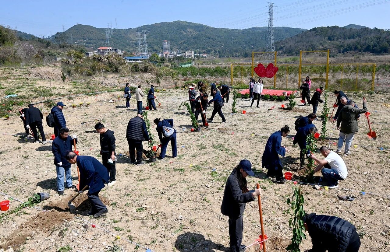 福州市道教协会开展“3.12”植树节主题活动-道音文化