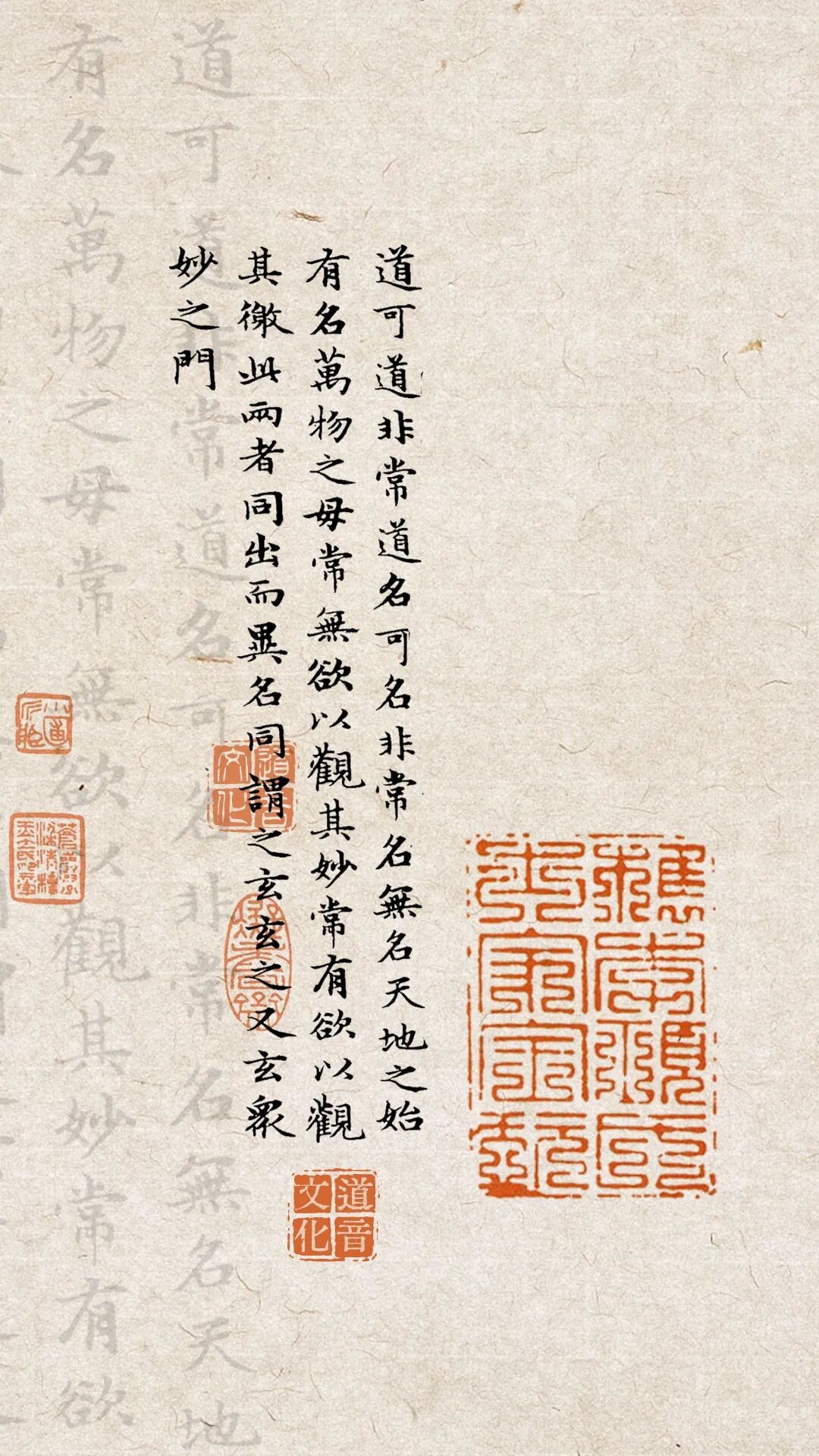 徐甲,从白骨进化为真人的励志传说-道音文化